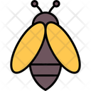 پیش‌نمایش فایل bee-11370593 از پک طبیعت