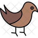 پیش‌نمایش فایل bird-11370596 از پک طبیعت