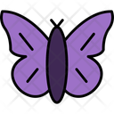 پیش‌نمایش فایل butterfly-11370597 از پک طبیعت