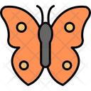 پیش‌نمایش فایل butterfly-11370598 از پک طبیعت