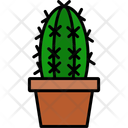 پیش‌نمایش فایل cactus-11370603 از پک طبیعت
