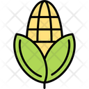 پیش‌نمایش فایل corn-11370605 از پک طبیعت