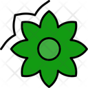 پیش‌نمایش فایل flower-11370619 از پک طبیعت