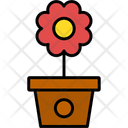 پیش‌نمایش فایل flowerpot-11370620 از پک طبیعت