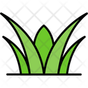 پیش‌نمایش فایل grass-11370624 از پک طبیعت