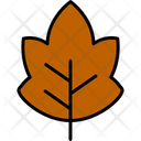 پیش‌نمایش فایل leaf-11370628 از پک طبیعت