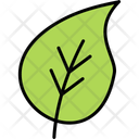 پیش‌نمایش فایل leaf-11370630 از پک طبیعت