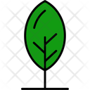 پیش‌نمایش فایل leaf-11370631 از پک طبیعت