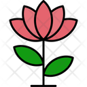 پیش‌نمایش فایل lotus-flower-11370634 از پک طبیعت