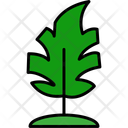 پیش‌نمایش فایل monstera-leaf-11370635 از پک طبیعت