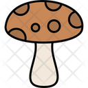 پیش‌نمایش فایل mushroom-11370639 از پک طبیعت