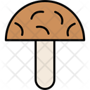 پیش‌نمایش فایل mushrooms-11370640 از پک طبیعت