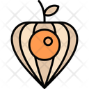 پیش‌نمایش فایل physalis-11370643 از پک طبیعت