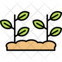 پیش‌نمایش فایل plants-11370646 از پک طبیعت