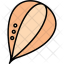 پیش‌نمایش فایل pumpkin-seed-11370647 از پک طبیعت