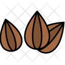 پیش‌نمایش فایل seed-11370652 از پک طبیعت