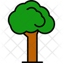 پیش‌نمایش فایل tree-11370671 از پک طبیعت