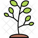 پیش‌نمایش فایل tree-11370673 از پک طبیعت