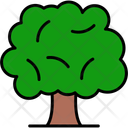 پیش‌نمایش فایل tree-11370674 از پک طبیعت