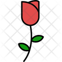 پیش‌نمایش فایل tulip-11370679 از پک طبیعت