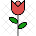 پیش‌نمایش فایل tulip-11370680 از پک طبیعت