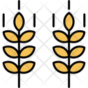 پیش‌نمایش فایل wheat-11370686 از پک طبیعت