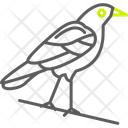 پیش‌نمایش فایل crow-11444350 از پک هالووین