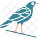 پیش‌نمایش فایل crow-11557954 از پک هالووین