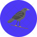 پیش‌نمایش فایل crow-11807883 از پک هالووین