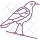 پیش‌نمایش فایل crow-11819745 از پک هالووین