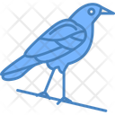 پیش‌نمایش فایل crow-12129268 از پک هالووین