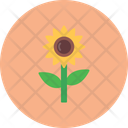 پیش‌نمایش فایل sunflower-12145506 از پک کشاورزی و باغبانی