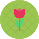 پیش‌نمایش فایل tulip-12145508 از پک کشاورزی و باغبانی