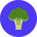 پیش‌نمایش فایل broccoli-12145545 از پک غذا و سبزیجات