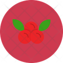 پیش‌نمایش فایل cranberries-12145559 از پک غذا و سبزیجات