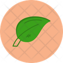 پیش‌نمایش فایل leaf-12145578 از پک غذا و سبزیجات