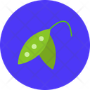 پیش‌نمایش فایل pea-12145590 از پک غذا و سبزیجات