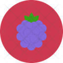 پیش‌نمایش فایل raspberries-12145519 از پک غذا و سبزیجات