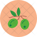 پیش‌نمایش فایل olives-12523631 از پک غذا شناسی