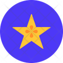 پیش‌نمایش فایل star-fruit-12523714 از پک غذا شناسی
