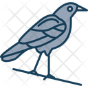 پیش‌نمایش فایل crow-12917218 از پک هالووین