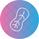 پیش‌نمایش فایل peanut-12936979 از پک غذا و سبزیجات