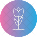پیش‌نمایش فایل tulip-12936895 از پک کشاورزی و باغبانی