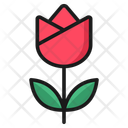 پیش‌نمایش فایل flower-12420981 از پک روز مادر
