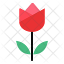 پیش‌نمایش فایل flower-12421006 از پک روز مادر