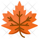 پیش‌نمایش فایل mapple-leaf-9684980 از پک پاییز