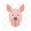 پیش‌نمایش فایل kangaroo-4795407 از پک صورت حیوان