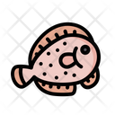 پیش‌نمایش فایل flatfish-4810557 از پک زندگی دریایی