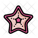 پیش‌نمایش فایل starfish-4810538 از پک زندگی دریایی