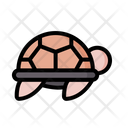 پیش‌نمایش فایل turtle-4810581 از پک زندگی دریایی